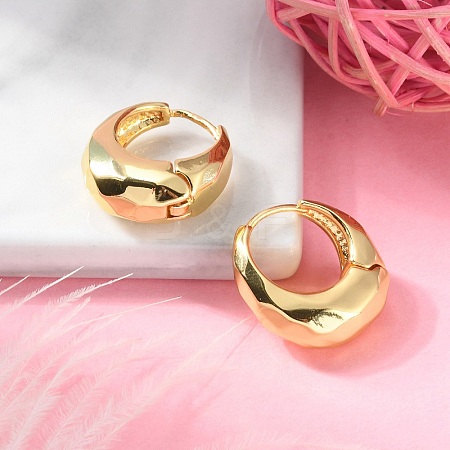 Brass Hoop Earrings EJEW-S249-04G-1