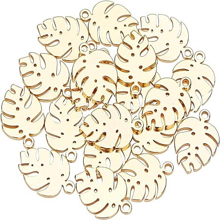 304 Stainless Steel Charms STAS-UN0020-59G-1