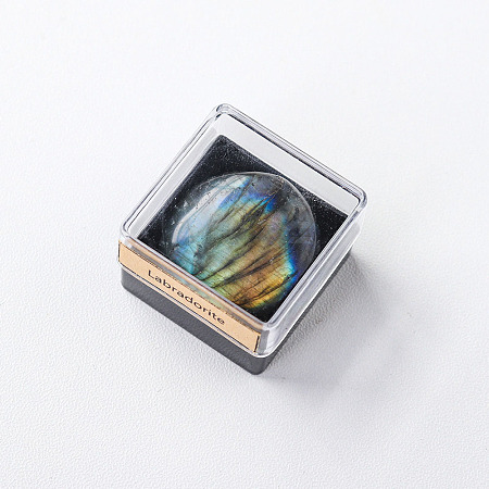 Reiki Raw Natural Labradorite Nuggets Specime in Square Plastic Box DJEW-PW0016-01D-1