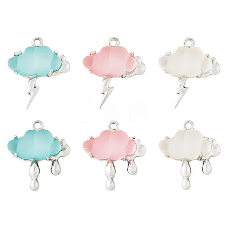 6Pcs 6 Styles Opaque Resin Pendants FIND-TA0002-50-1