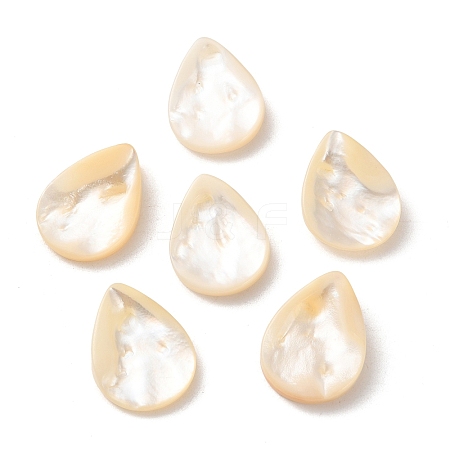 Natural White Shell Beads SSHEL-F305-01B-1