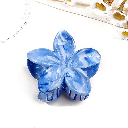 Resin Claw Hair Clips PW-WG0E0E6-11-1