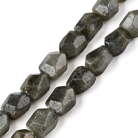 Natural Labradorite Beads Strands G-N342-146-1