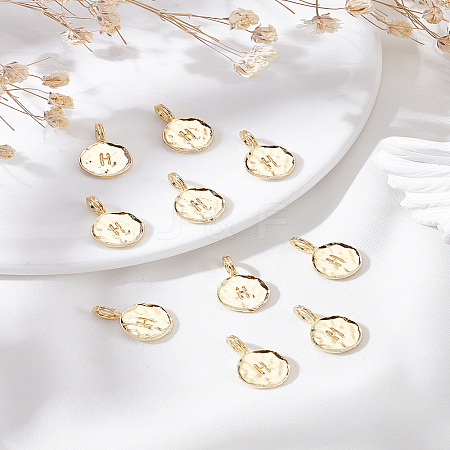 10Pcs Alloy Pendants FIND-LP0003-36H-1
