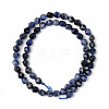 Natural Brazil Sodalite Beads Strands G-S368-003A-2