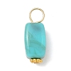 Opaque Acrylic Pendants PALLOY-JF04023-3