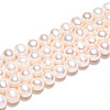 Natural Cultured Freshwater Pearl Beads Strands PEAR-N013-07Q-2