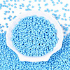 Baking Paint Glass Seed Beads SEED-N007-30A-2