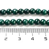 Natural Malachite Beads Strands G-I001-4mm-01-2