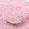 Macaron Color Opaque Frosted Glass Seed Beads X1-SEED-K009-12B-09-2