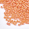 Opaque Glass Seed Beads SEED-S023-01A-10-2