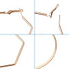 Iron Hoop Earrings EJEW-TA0010-07-4