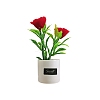 Resin Flower Pot Model PW-WGE1B27-01-1