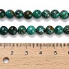 Natural Chrysocolla Beads Strands G-L642-B12-6mm-5