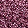 TOHO 6/0 Round Beads X-SEED-TR06-1202-4