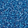 MIYUKI Delica Beads Small X-SEED-J020-DBS0862-3