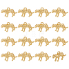 16Pcs Eco-Friendly Brass Charms KK-ME0001-45-1