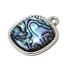 304 Stainless Steel & Natural Paua Shell Pendants SH-CBA7184-01A-P-2