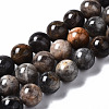 Natural Black Sunstone Beads Strands G-N328-48A-01-1