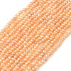 Natural Cultured Freshwater Pearl Beads Strands PEAR-L034-13B-2