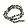 Natural African Bloodstone Beads Strands G-D344-A01-4