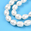 Natural Cultured Freshwater Pearl Beads Strands PEAR-N012-07Y-01-4