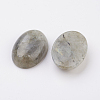 Natural Labradorite Flat Back Cabochons G-G741-13x18mm-18-2