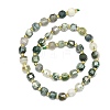 Natural Tree Agate Beads Strand G-I376-D11-01-2