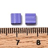 2-Hole Baking Paint Glass Seed Beads SEED-S023-17C-42-3