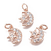 Brass Micro Pave Cubic Zirconia Charms ZIRC-F111-20-2