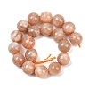 Natural Sunstone Beads Strands G-G342-A02-10.5mm-3