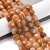 Natural Red Aventurine Beads Strands G-G146-A02-02-2