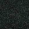 MIYUKI Round Rocailles Beads SEED-G008-RR0156-2