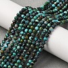 Natural HuBei Turquoise Beads Strands G-M411-A02-01-2