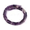 Natural Lepidolite/Purple Mica Stone Beads Strands G-NH0001-E04-01-3