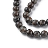 Natural Labradorite Beads Strands X-G-G0003-C03-6mm-4