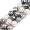Electroplated Shell Pearl Beads Strands BSHE-H113-03B-1