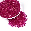 Transparent Inside Colours Glass Seed Beads SEED-T007-11C-3