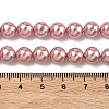 Electroplated Shell Pearl Beads Strands X-BSHE-G041-8mm-05-2