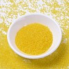 MIYUKI Delica Beads SEED-MY11-DB1301-2