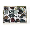 Natural Ocean Jasper Geode Cornucopia Mineral Specimen G-N347-13D-1