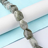 Natural Labradorite Beads Strands G-F743-04D-2
