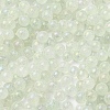 Luminous Glow in the Dark Transparent Glass Round Beads GLAA-F124-B02-3