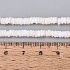 Natural Freshwater Shell Beads Strands SHEL-Q028-01A-4