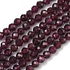 Natural Garnet Beads Strands X-G-B168-A05-4mm-2