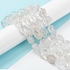 Natural Quartz Crystal Beads Strands G-C182-08-3