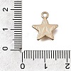 Alloy with Enamel Charms AL-CBA2F44-03G-01-3