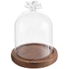 SUNNYCLUE 1Pc Glass Dome Cover AJEW-SC0002-60A-02-6