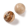 Natural Picture Jasper No Hole Sphere Beads G-K353-04B-15-2