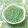 Transparent Glass Round Seed Beads SEED-B001-05A-10-2